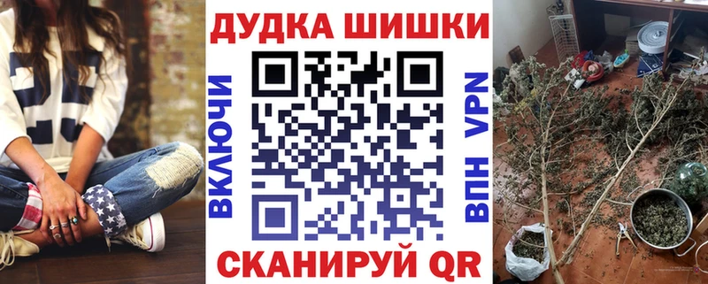 Купить закладку Гаврилов Посад ГАШ  Alpha-PVP  КОКАИН  МЕФ  Конопля 