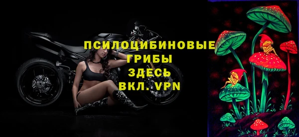 ALPHA PVP Краснослободск