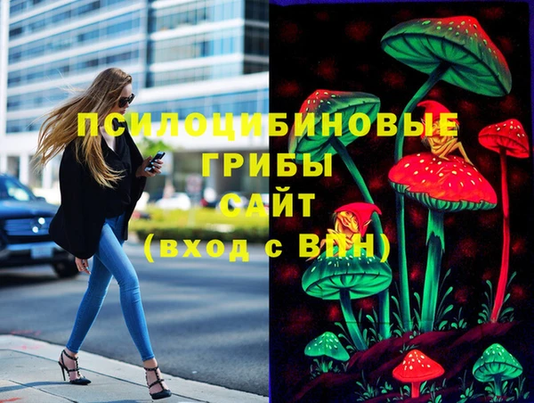 гашик Алексеевка