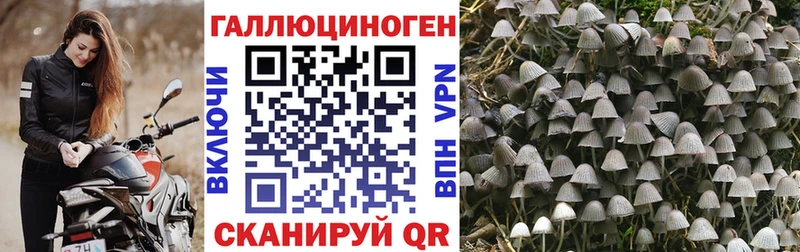 где продают наркотики  hydra ONION  Псилоцибиновые грибы мухоморы  Гаврилов Посад 